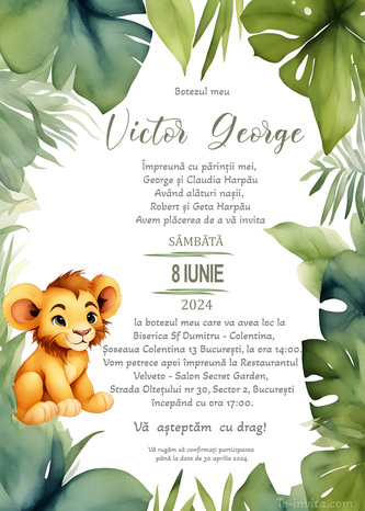 Invitație digitală aniversare